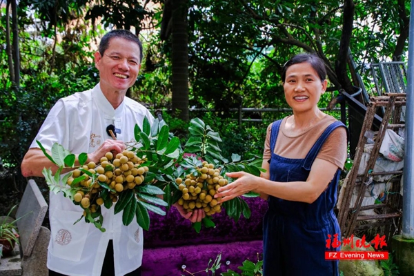 Jin Ningfei: A Cooking Master with Apprentices All Over the World